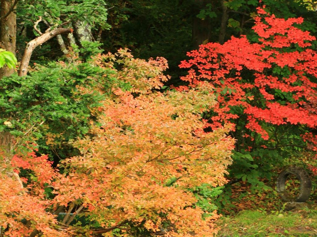Hotel Kyuhonbo Hisayamakan Nagano Exteriér fotografie